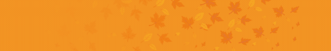 Holiday Activity Camps