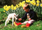 Child friendly farms in Cornwall