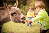 Child friendly farm holidays in South Devon